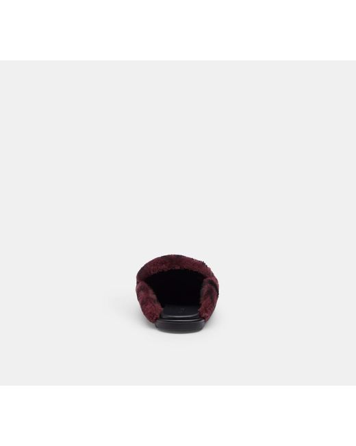 COACH Black Slipper