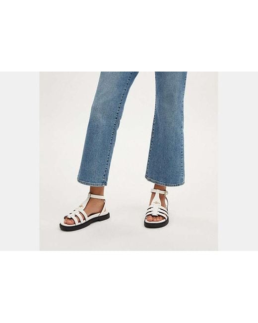 【Coach】Franny Sandal レザーサンダル ◆国内発送◆ COACH Franny Sandal in Black | Lyst