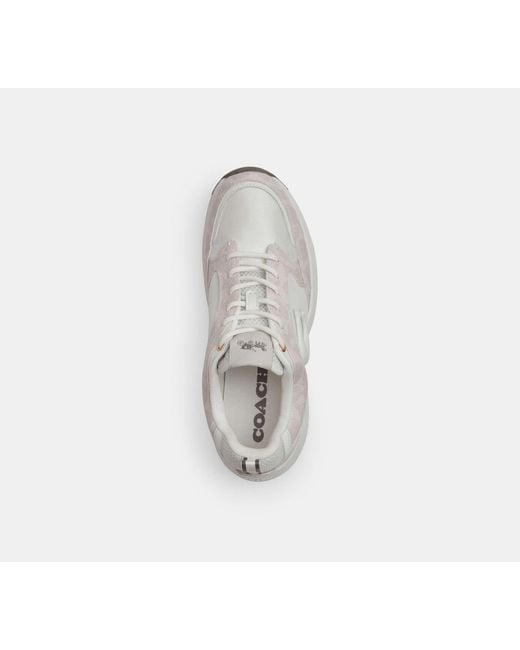 COACH White Strider Sneaker