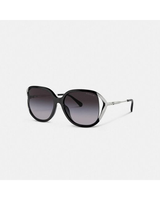 COACH Black Bandit Oversized Square Sunglasses