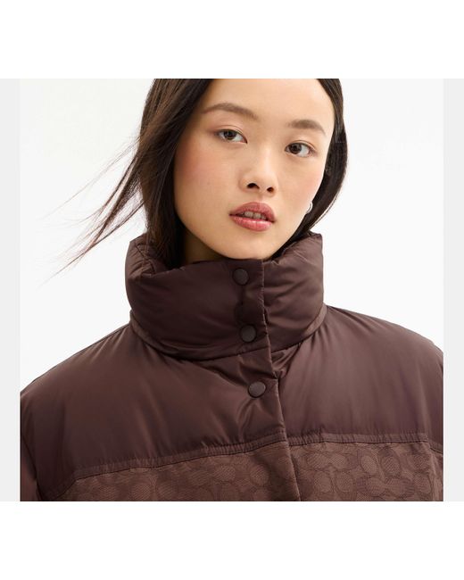 COACH Brown Signature Down Jacket