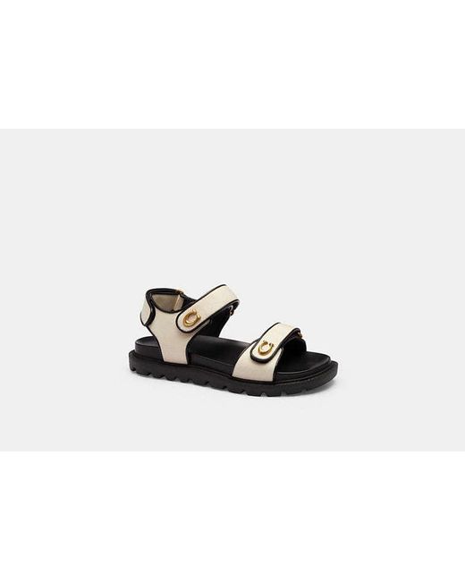 COACH Black Brynn Sandal