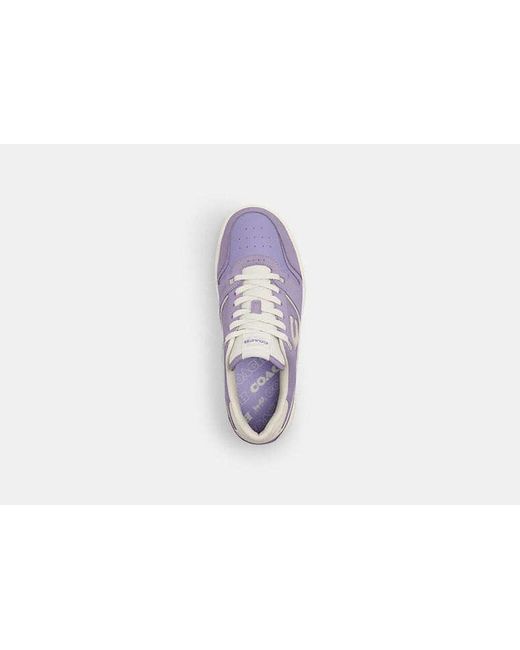 Baskets Soho COACH en coloris Black