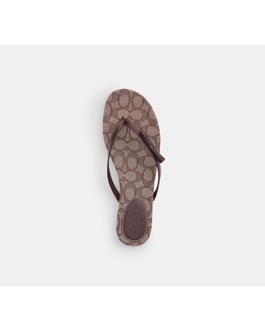 COACH Black Bow Flip Flop