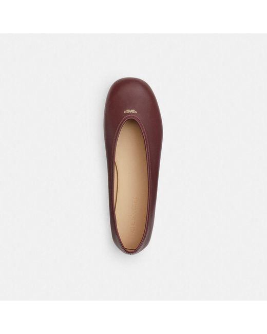 COACH Multicolor Houston Ballet Flat