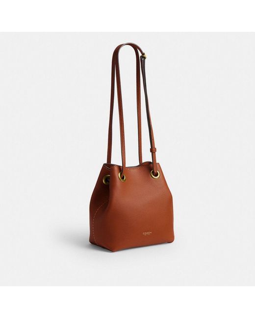 COACH Brown Jade Drawstring Bag