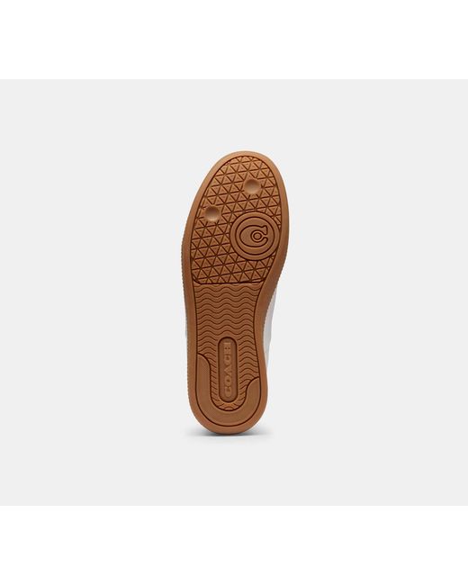 COACH Black Ellis Sneaker