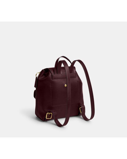 COACH Brown Crosby Backpack