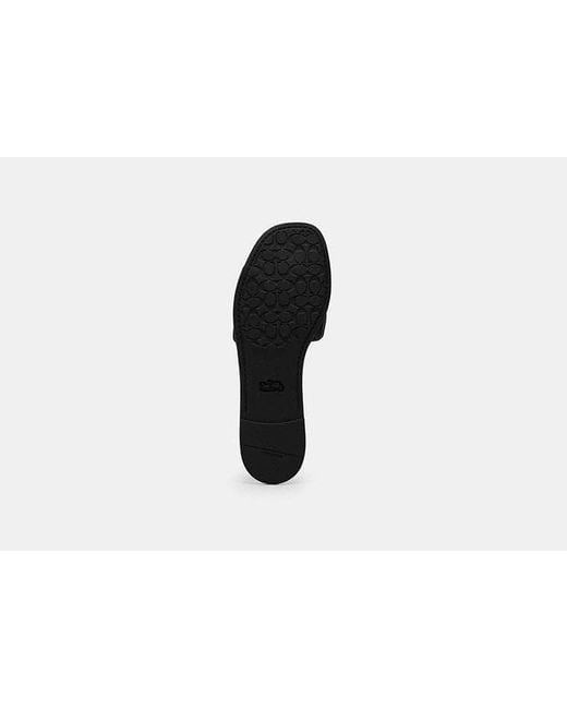 COACH Black Holly Sandal With Quilting
