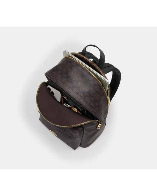 COACH Black Taylor Small Backpack