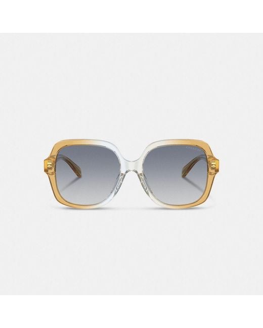 COACH Multicolor Signature Ombré Oversized Square Sunglasses