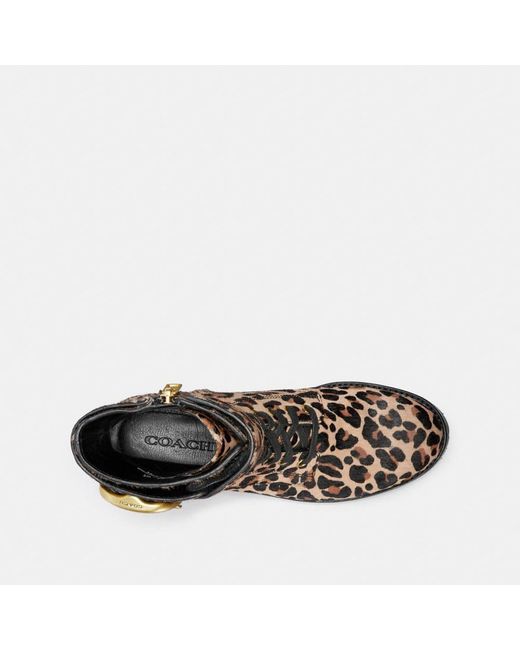 Coach lucy hotsell lace up boot