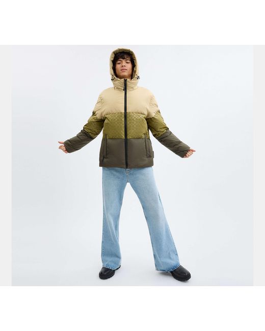 COACH Green Colorblock Down Jacket for men