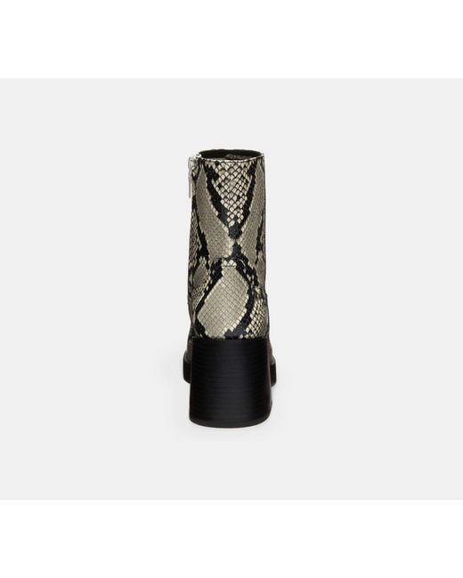 COACH Black Block Heel Boot With Snake Print