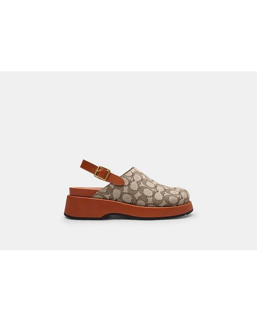 COACH Brown Mules