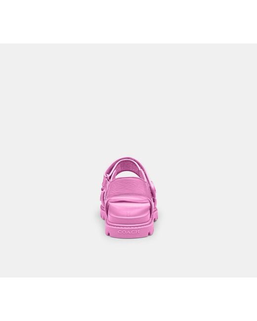 COACH Black Brynn Sandal