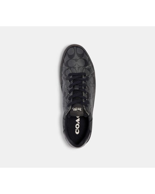 COACH Black Clip Low Top Sneaker for men
