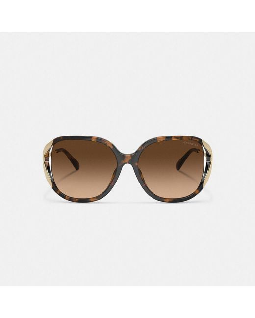 COACH Brown Bandit Oversized Square Sunglasses