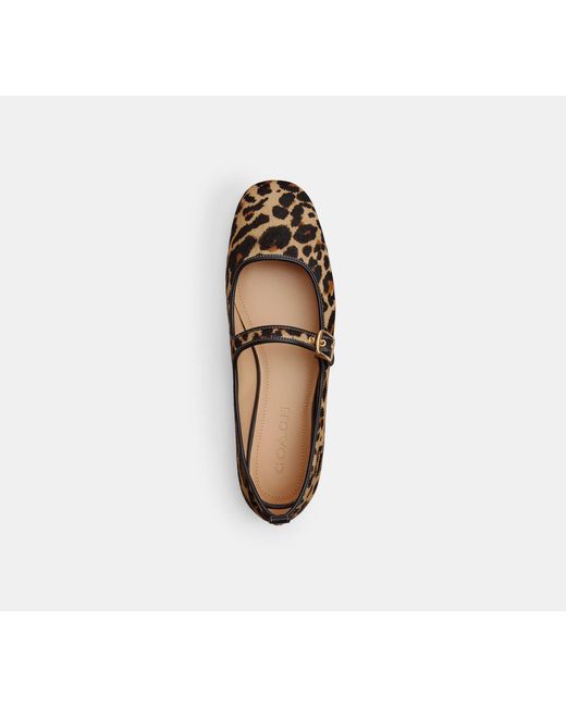 COACH Black C Rivet Mary Jane With Leopard Print