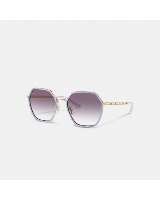 COACH Purple Embellished Narrow Metal Hexagon Sunglasses