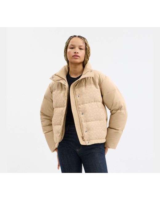COACH Black Signature Down Jacket