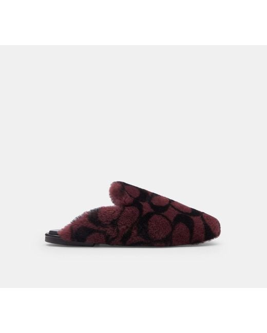 COACH Black Slipper