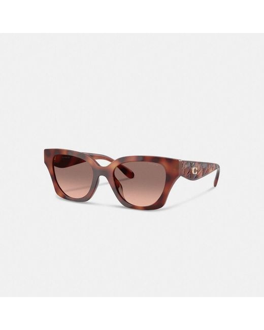 COACH Brown Quilted Square Sunglasses