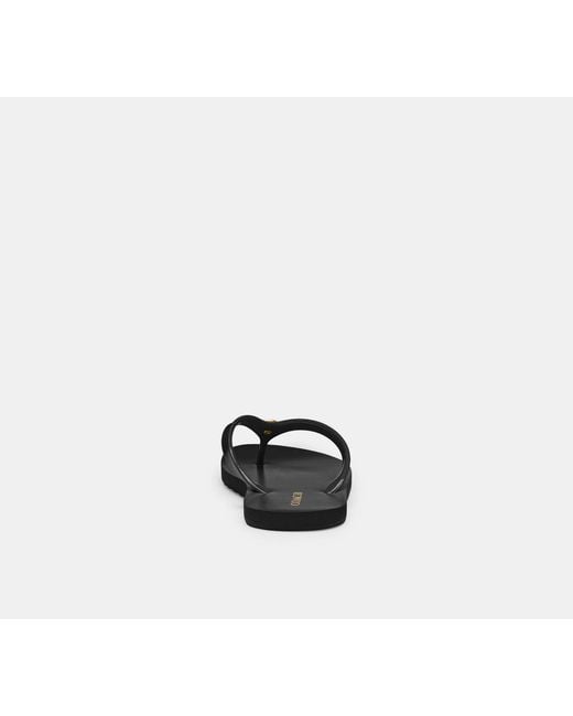 COACH Black Zayn Flip Flop