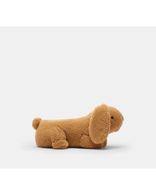 COACH Black Bunny Slipper