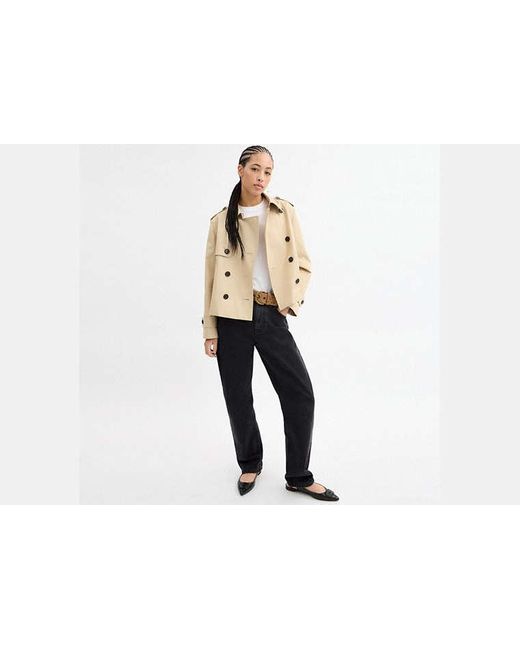 COACH Black Short Trench Coat