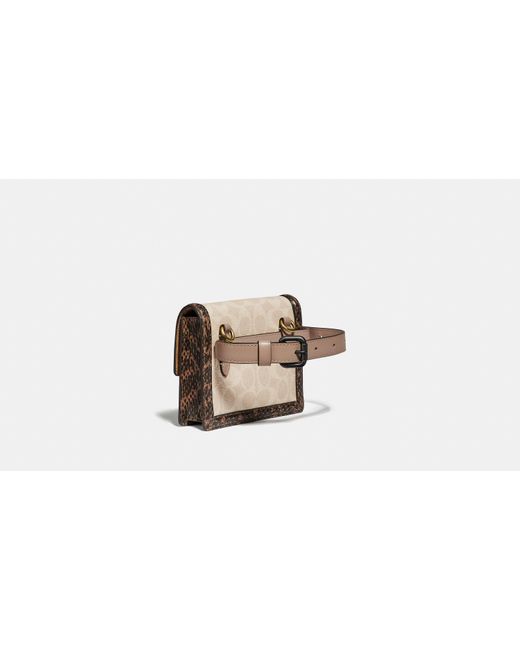 COACH Hutton Belt Bag With Snakeskin Detail Beige in Black Lyst UK