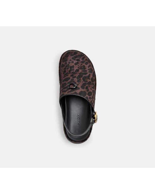 COACH Black C Platform Clog With Leopard Print