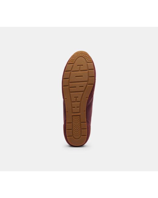 COACH Red Flache Sneaker