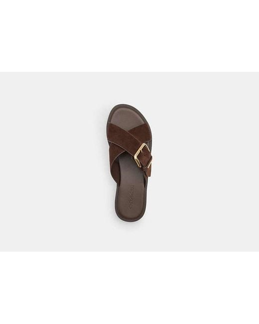 COACH Black Crisscross Buckle Sandal