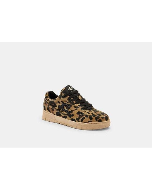 Scarpa Da Ginnastica Soho Con Stampa Leopardata di COACH in Black