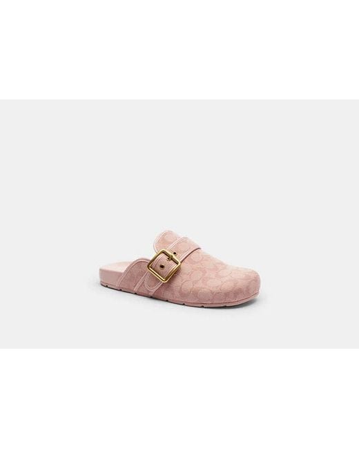 COACH Black Archival Buckle Clog Canvas