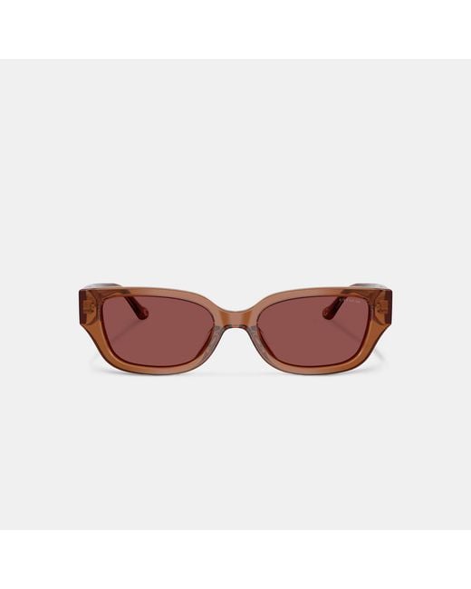 COACH Brown Charms Narrow Rectangle Sunglasses