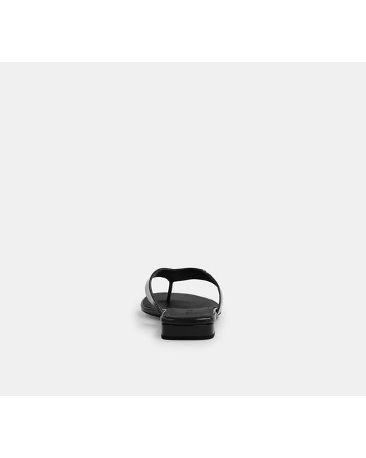 COACH Black Bridgette Sandal