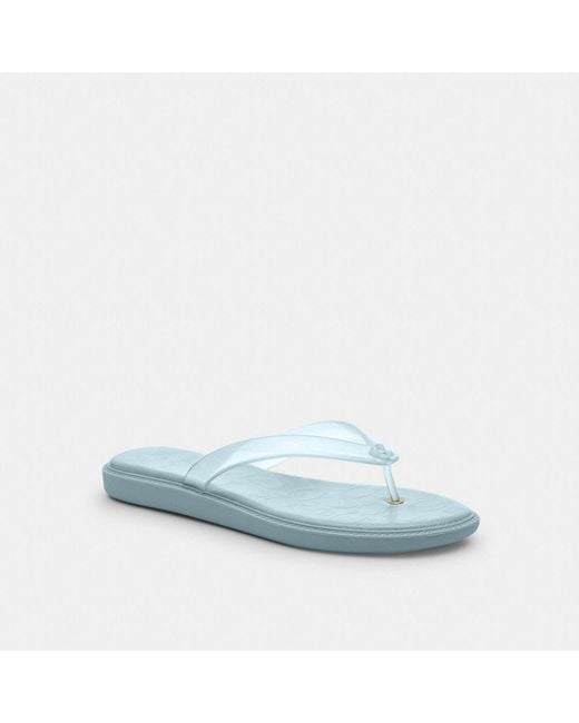 COACH Jelly Flip Flop In Signature in Blue | Lyst