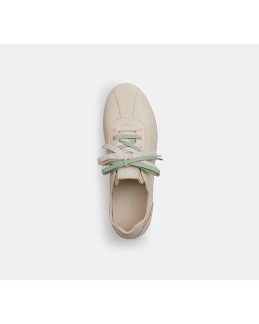 COACH Black Soft Sneaker