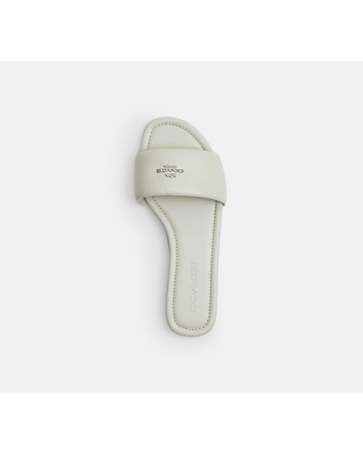 COACH Black Slide Sandal