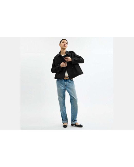 COACH Black Short Trench Coat