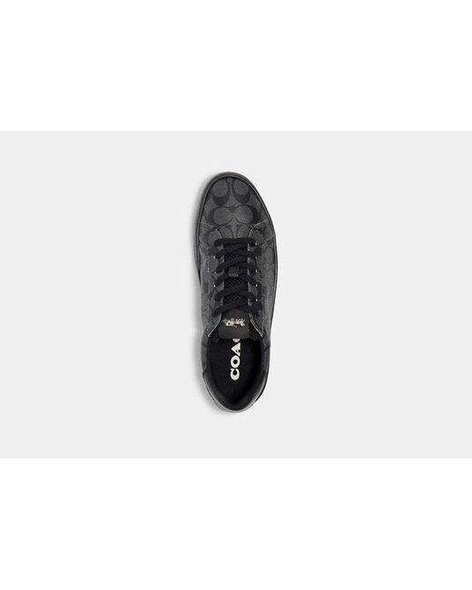 COACH Black Clip Low Top Sneaker for men