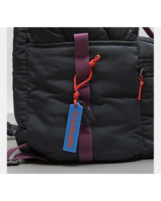 COACH Black Coachtopia Loop Backpack