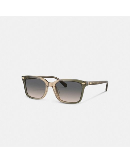 COACH Multicolor Narrow Square Sunglasses for men