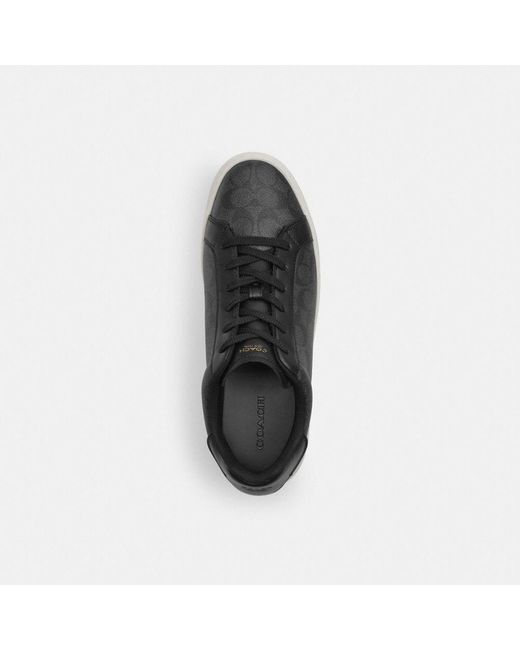 COACH Black High Line Sneaker In Signature Canvas for men
