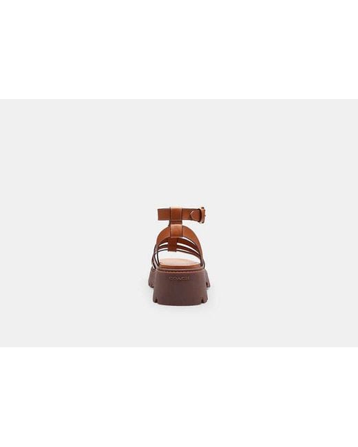 COACH Black Sculpted C Platform Fisherman Sandal