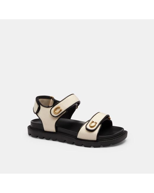 COACH Black Brynn Sandal