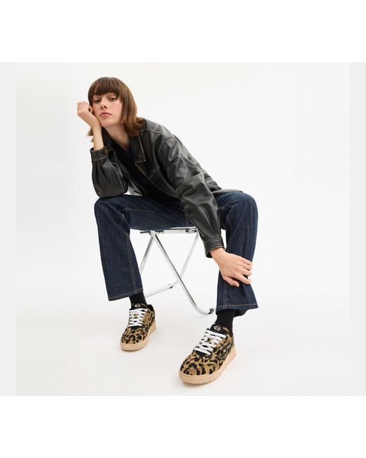 COACH Black Soho Sneaker With Leopard Print