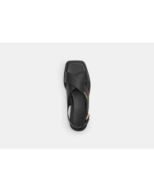 COACH Black Link Criss Cross Sandal